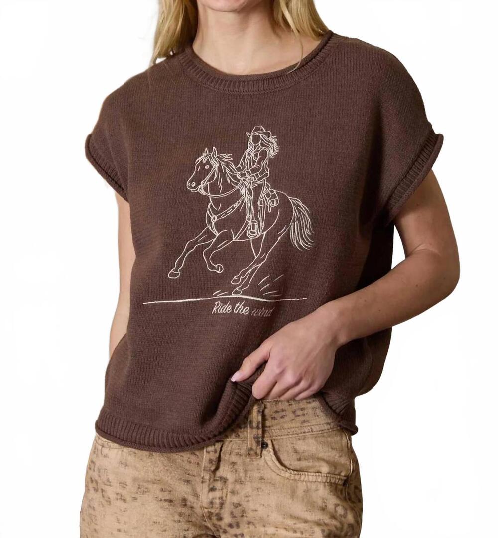 NEW J.O.A. western embroidery short sleeve sweater in dark brown